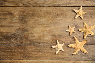 Photo of Beautiful sea stars on wooden background, flat lay. Space for text