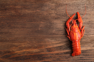 Photo of Delicious boiled crayfish on wooden table, top view. Space for text