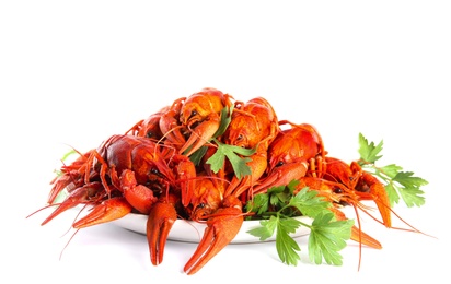 Photo of Plate with delicious boiled crayfishes on isolated white