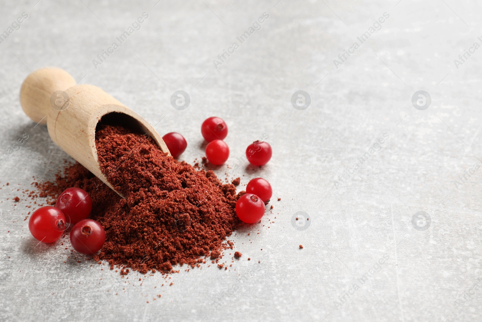 Photo of Pile of cranberry powder, scoop and fresh berries on light grey table. Space for text