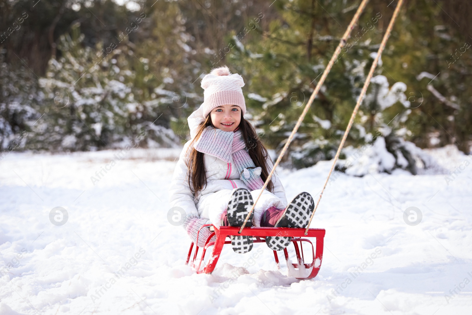 Photo of Cute little girl enjoying sleigh ride outdoors on winter day