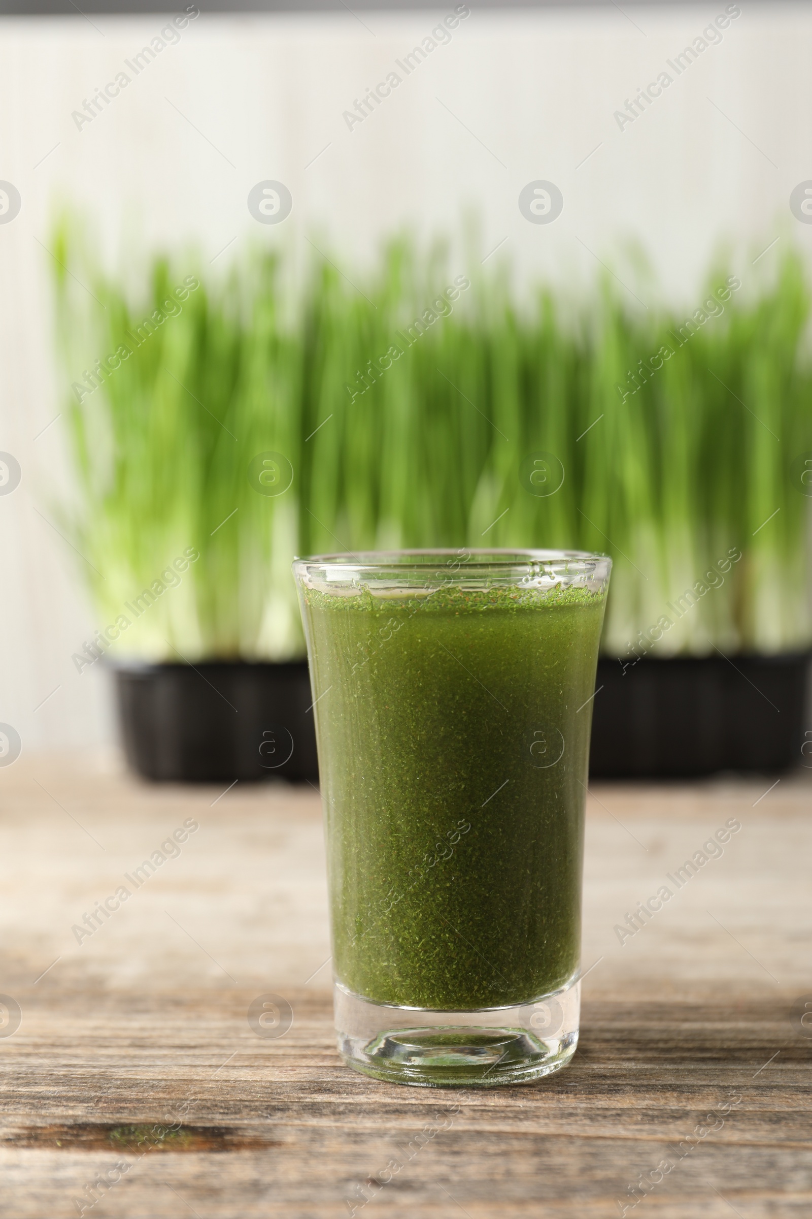 Photo of Wheat grass drink in shot glass on wooden table, closeup