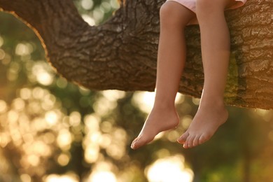 Little girl sitting on tree outdoors, closeup. Child spending time in nature