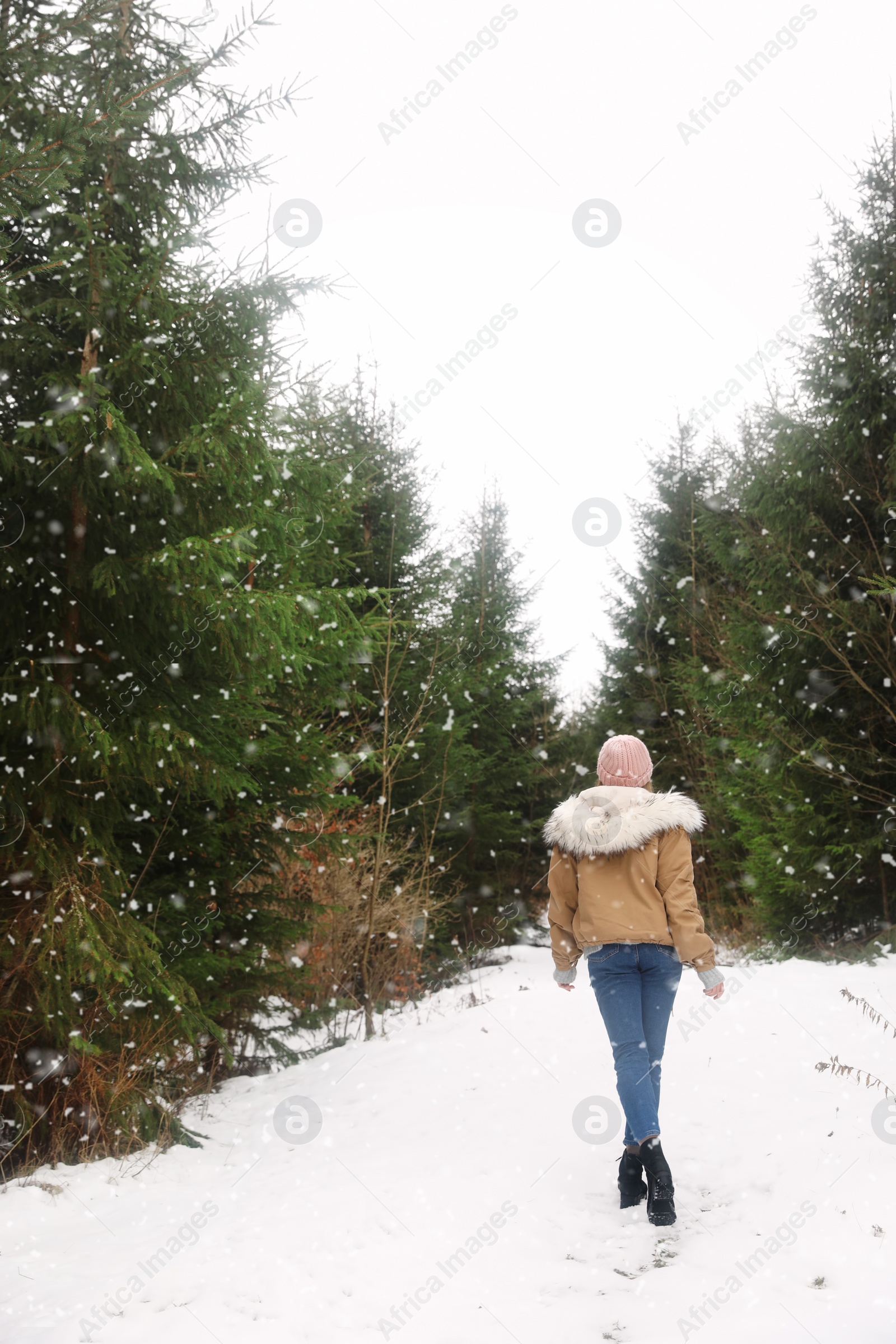 Photo of Young woman in snowy conifer forest. Winter vacation