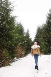 Young woman in snowy conifer forest. Winter vacation