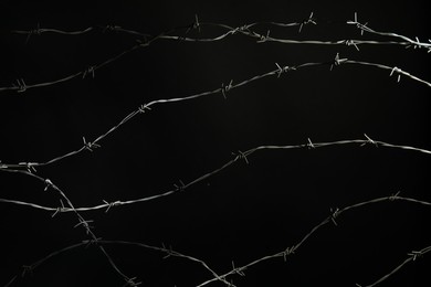 Shiny metal barbed wire on black background