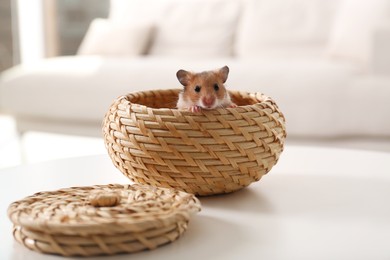 Photo of Cute little hamster in wicker bowl on white table indoors