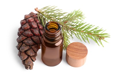 Bottle of pine essential oil, tree branch and cone on white background