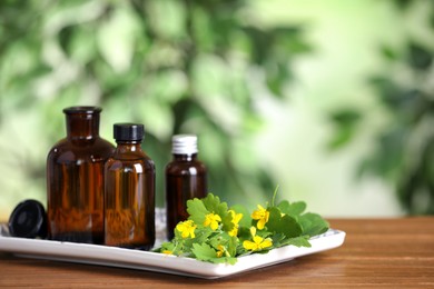 Photo of Bottles of celandine tincture and plant on wooden table outdoors, space for text