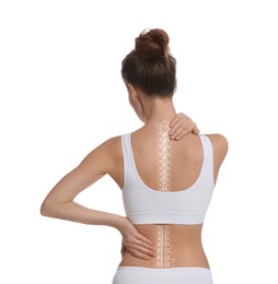 Woman in underwear on white background, back view. Illustration of spine