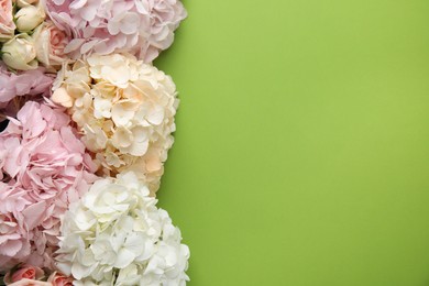 Beautiful hydrangea flowers on green background, top view. Space for text