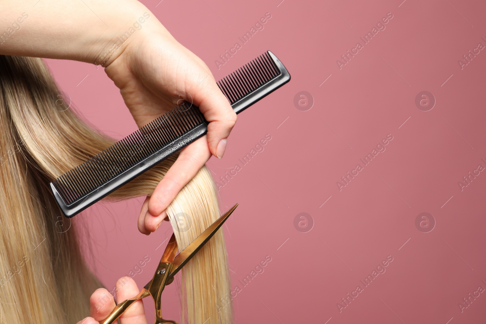 Photo of Hairdresser cutting client's hair with scissors on pink background, closeup. Space for text