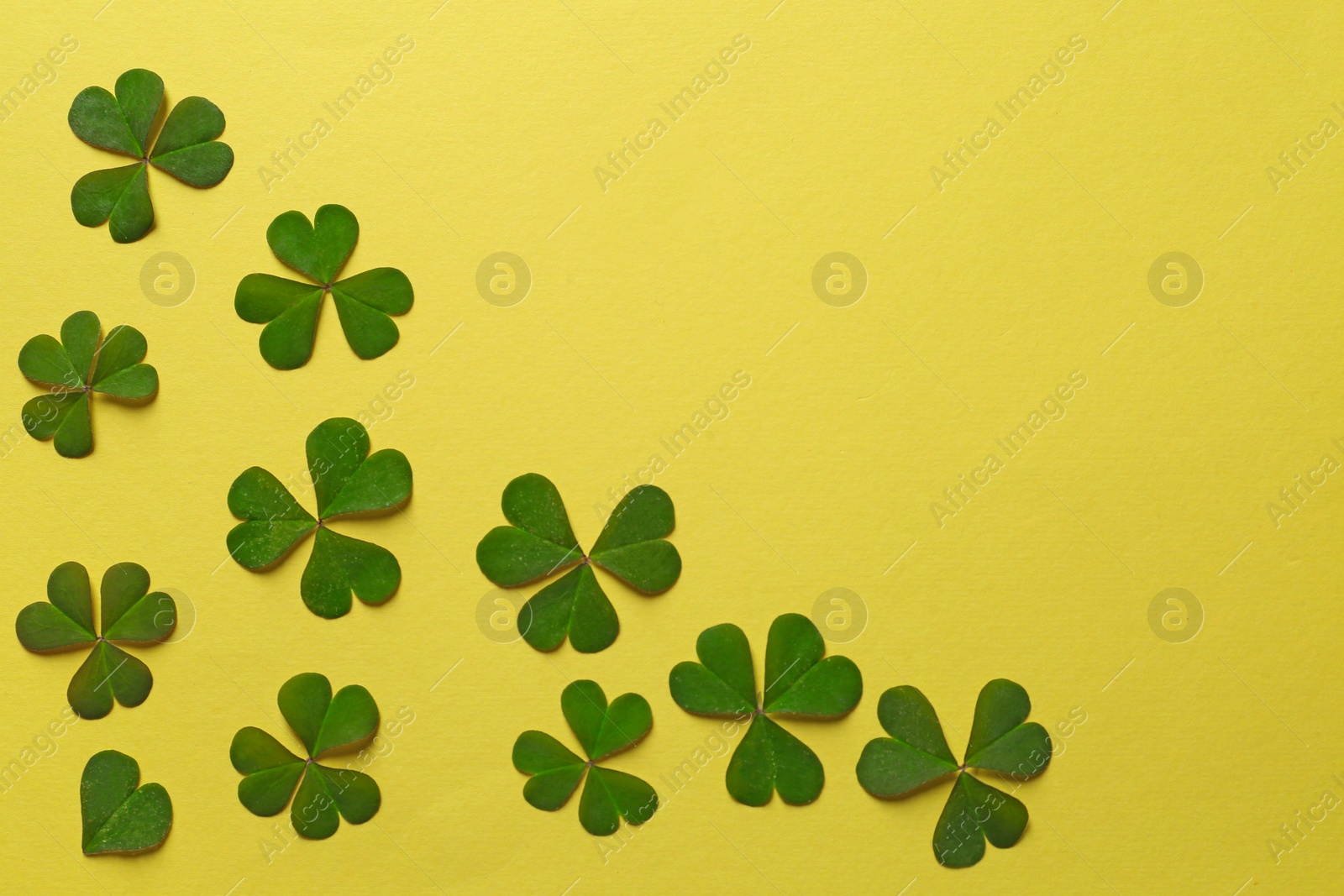 Photo of Green clover on yellow background, flat lay. Space for text