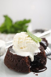 Delicious fresh fondant with hot chocolate, ice cream  and mint served on plate, closeup