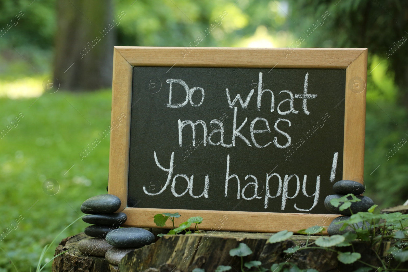Photo of Chalkboard with phrase Do What Makes You Happy on stump outdoors