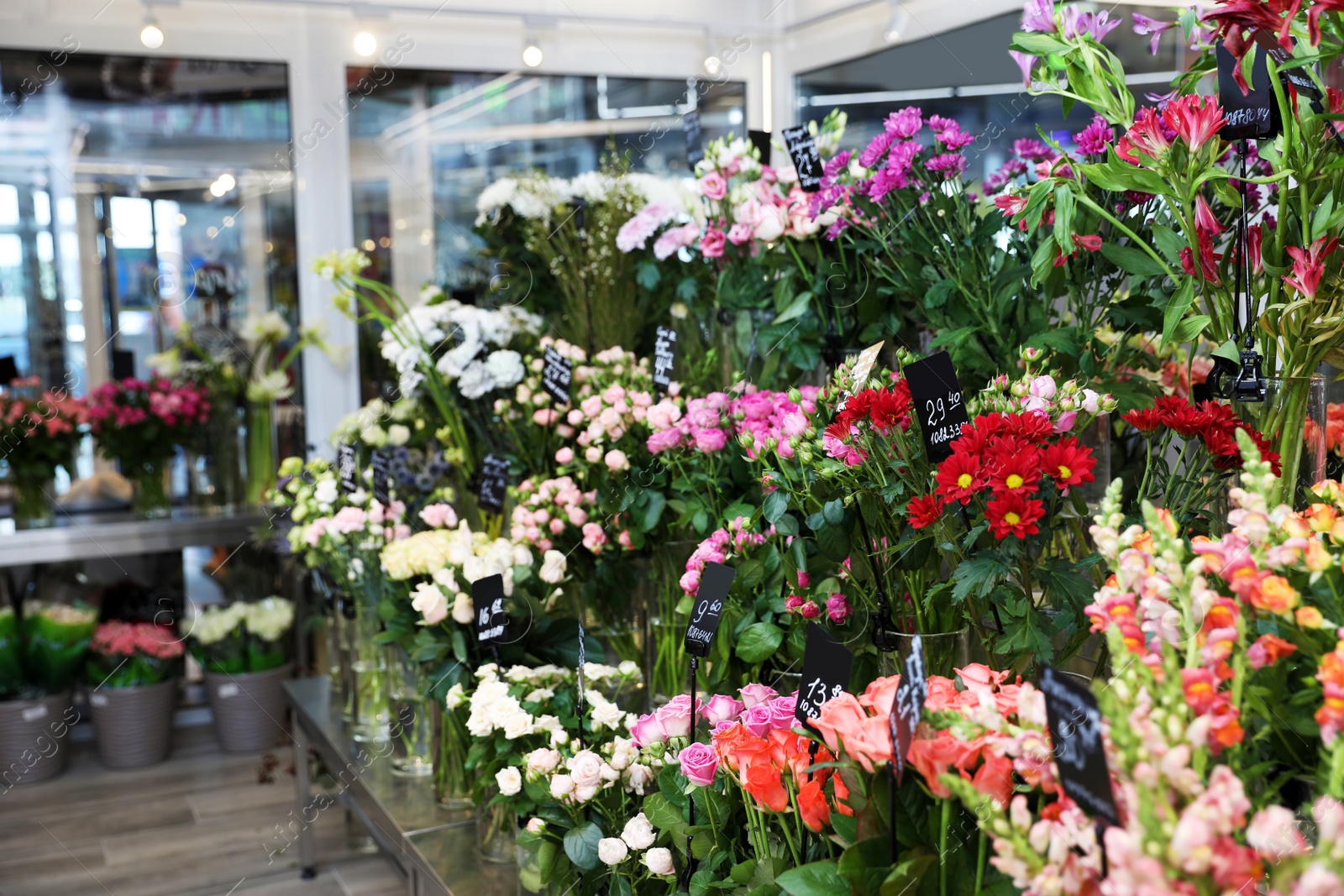 Photo of Assortment of beautiful flowers in shop. Florist's workplace