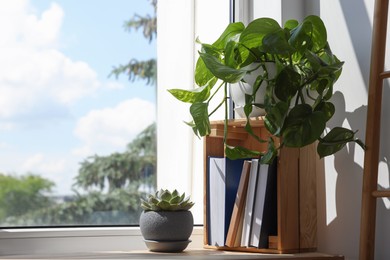Photo of Different beautiful houseplants and books on window sill indoors, space for text