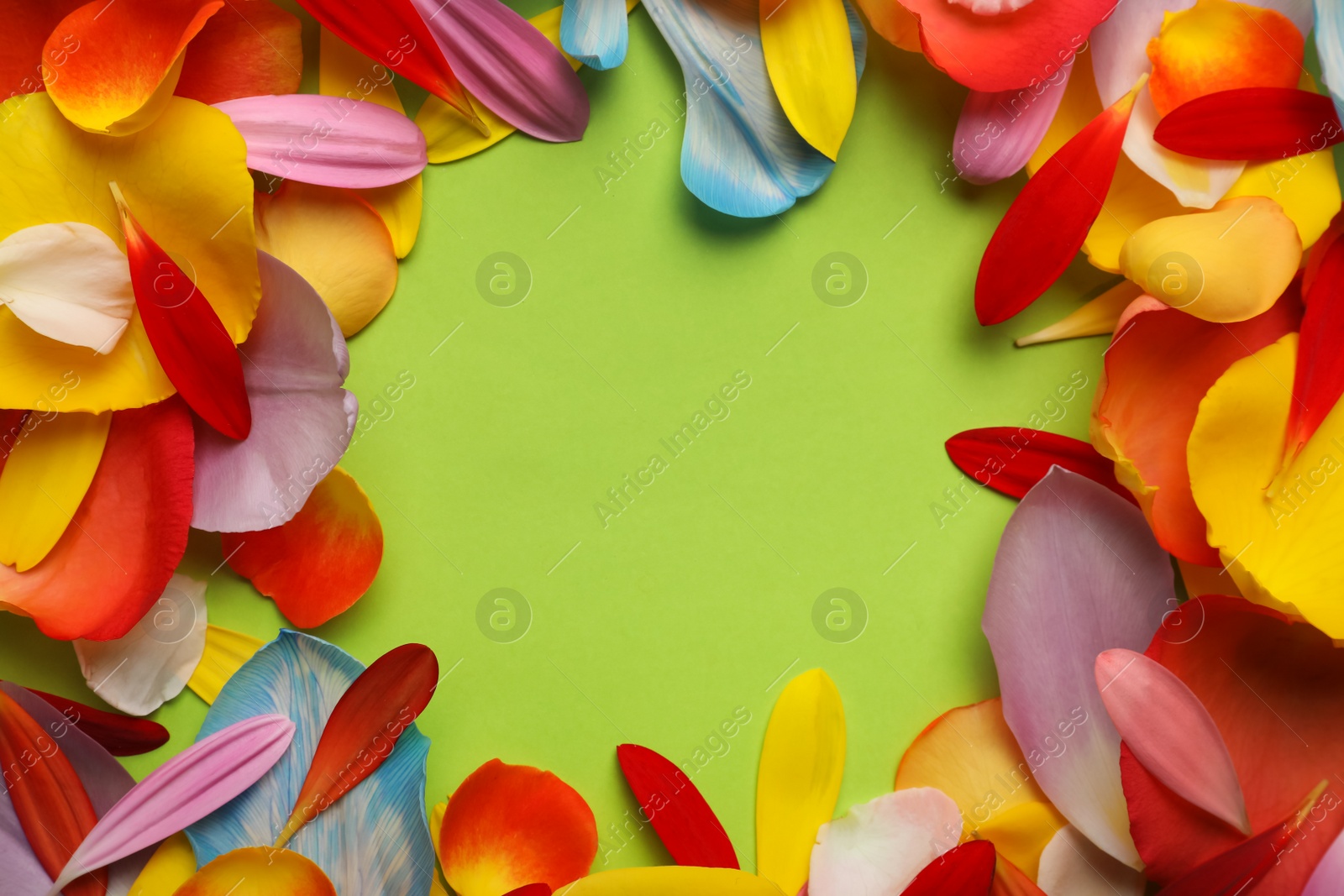 Photo of Frame of beautiful petals on green background, flat lay. Space for text