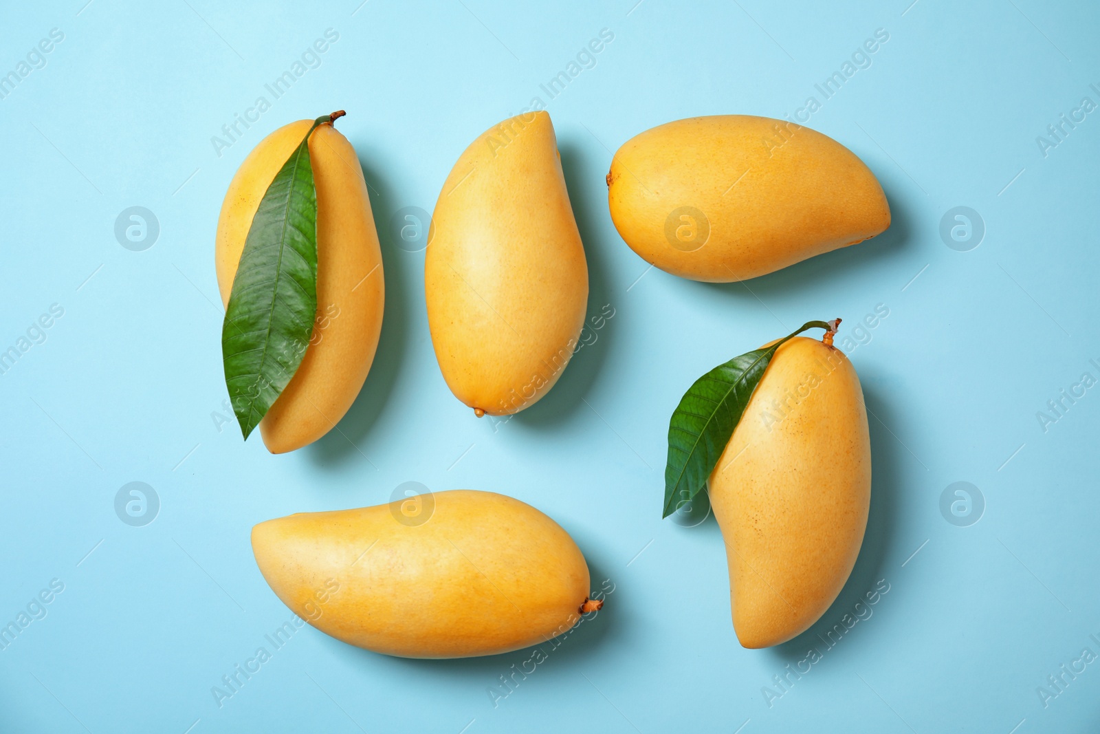 Photo of Flat lay composition with mango fruits on color background