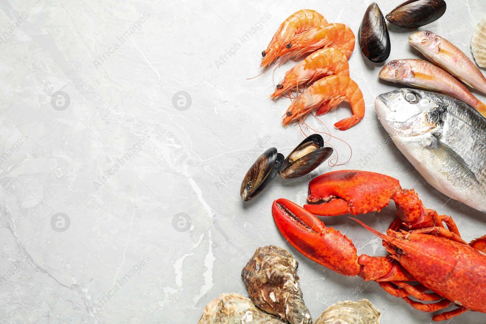 Photo of Fresh fish and seafood on marble table, flat lay. Space for text