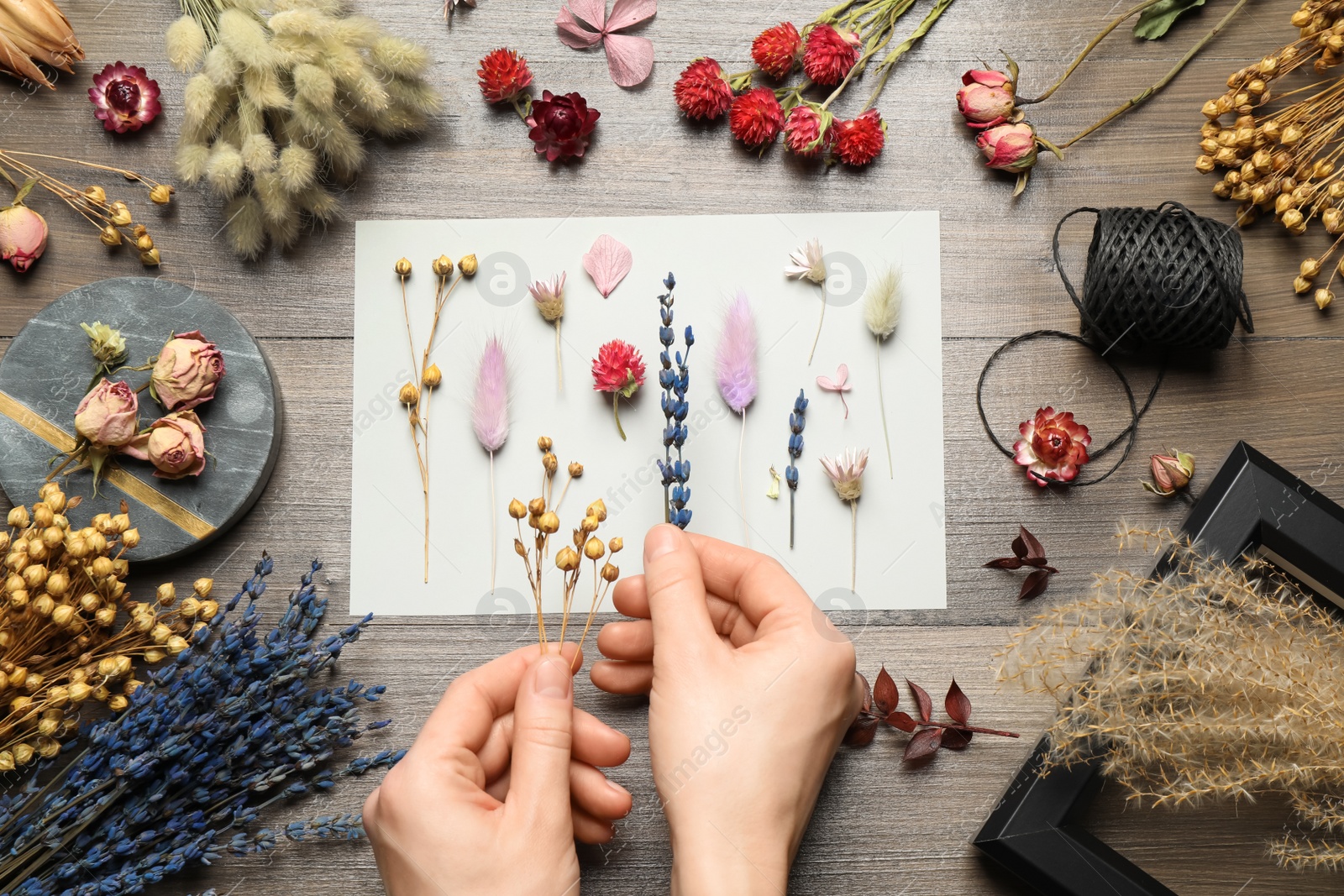 Photo of Woman making herbarium of dry flowers at wooden table, closeup