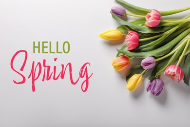 Hello Spring card. Beautiful colorful tulips on light grey background, top view