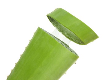 Photo of Cut aloe vera leaf isolated on white