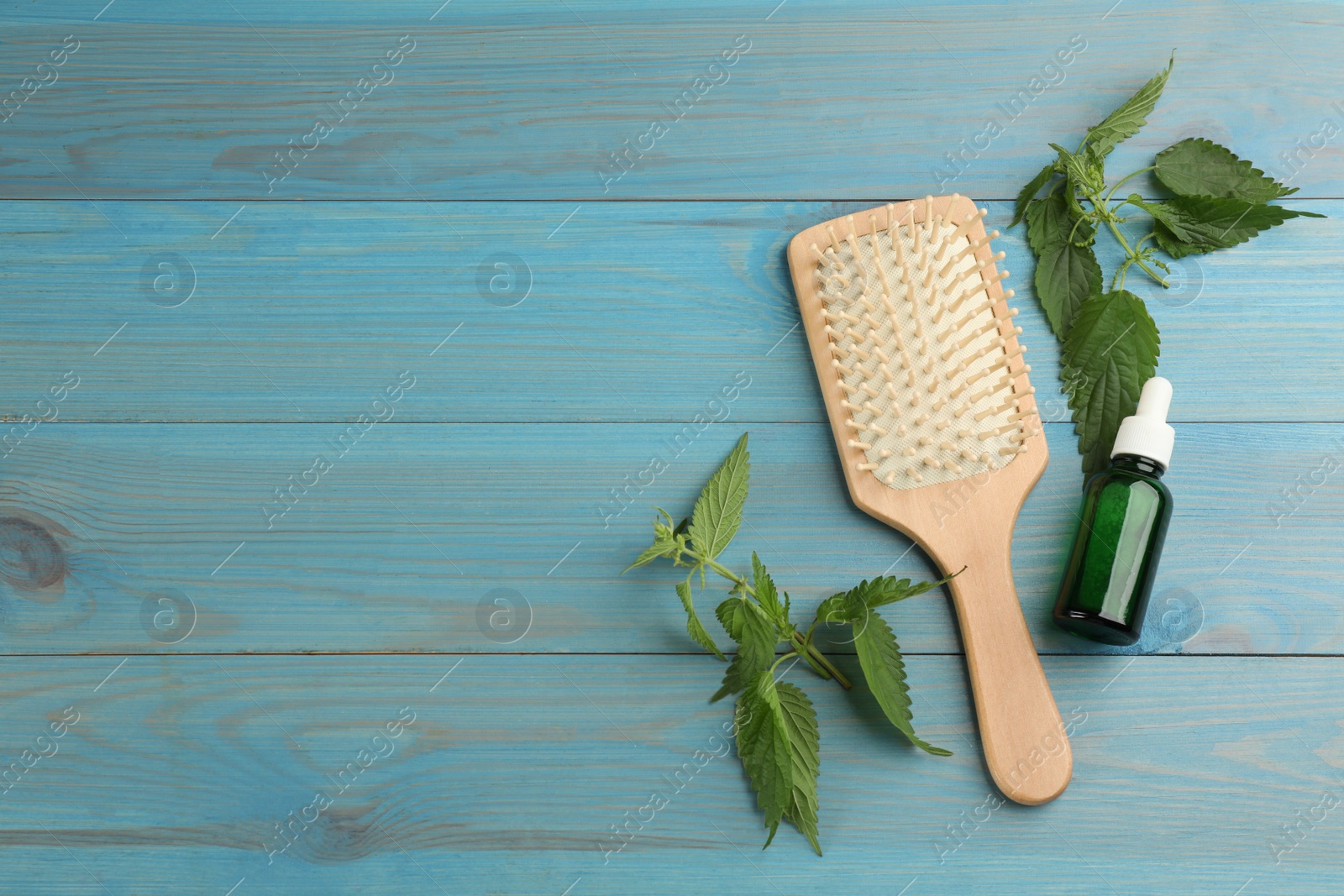 Photo of Stinging nettle, cosmetic product and brush on light blue wooden background, flat lay with space for text. Natural hair care