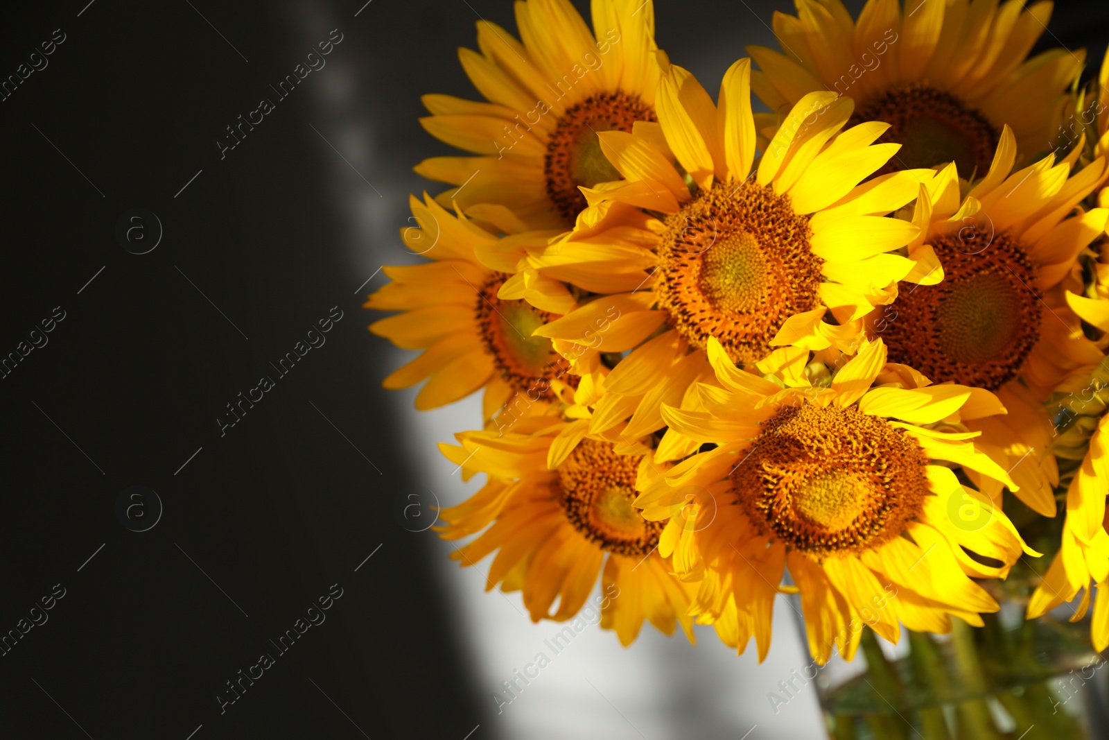 Photo of Bouquet of beautiful sunflowers indoors. Space for text