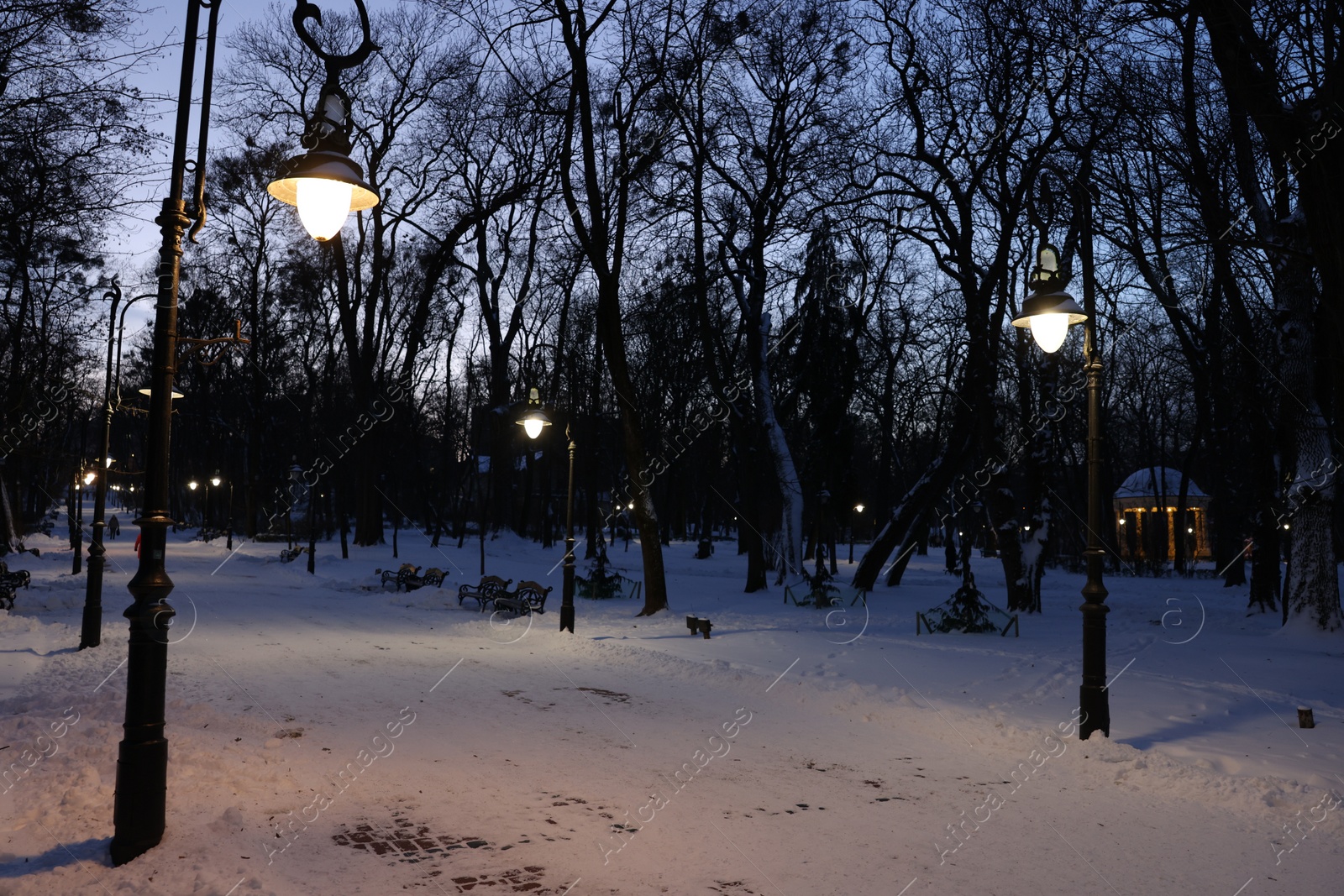 Photo of Trees, street lamps and pathway covered with snow in evening park