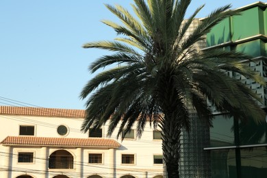 Photo of City street with beautiful buildings and palm on sunny day
