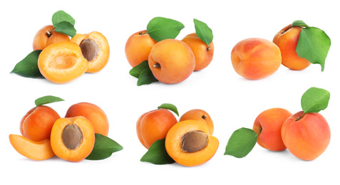 Image of Set of fresh apricots on white background. Banner design