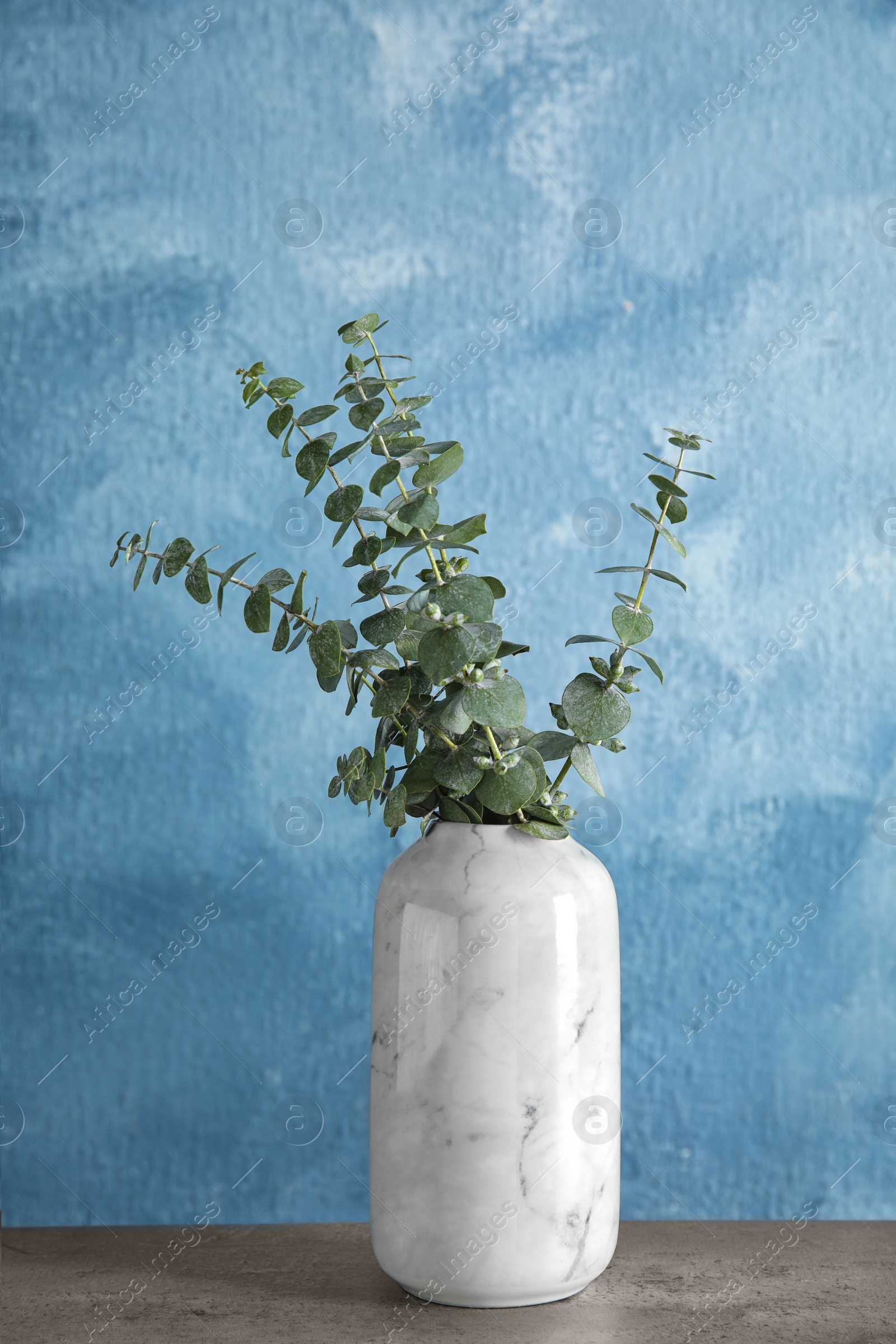 Photo of Bunch of eucalyptus branches with fresh leaves in vase on table