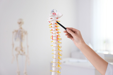Photo of Orthopedist pointing on human spine model in clinic, closeup