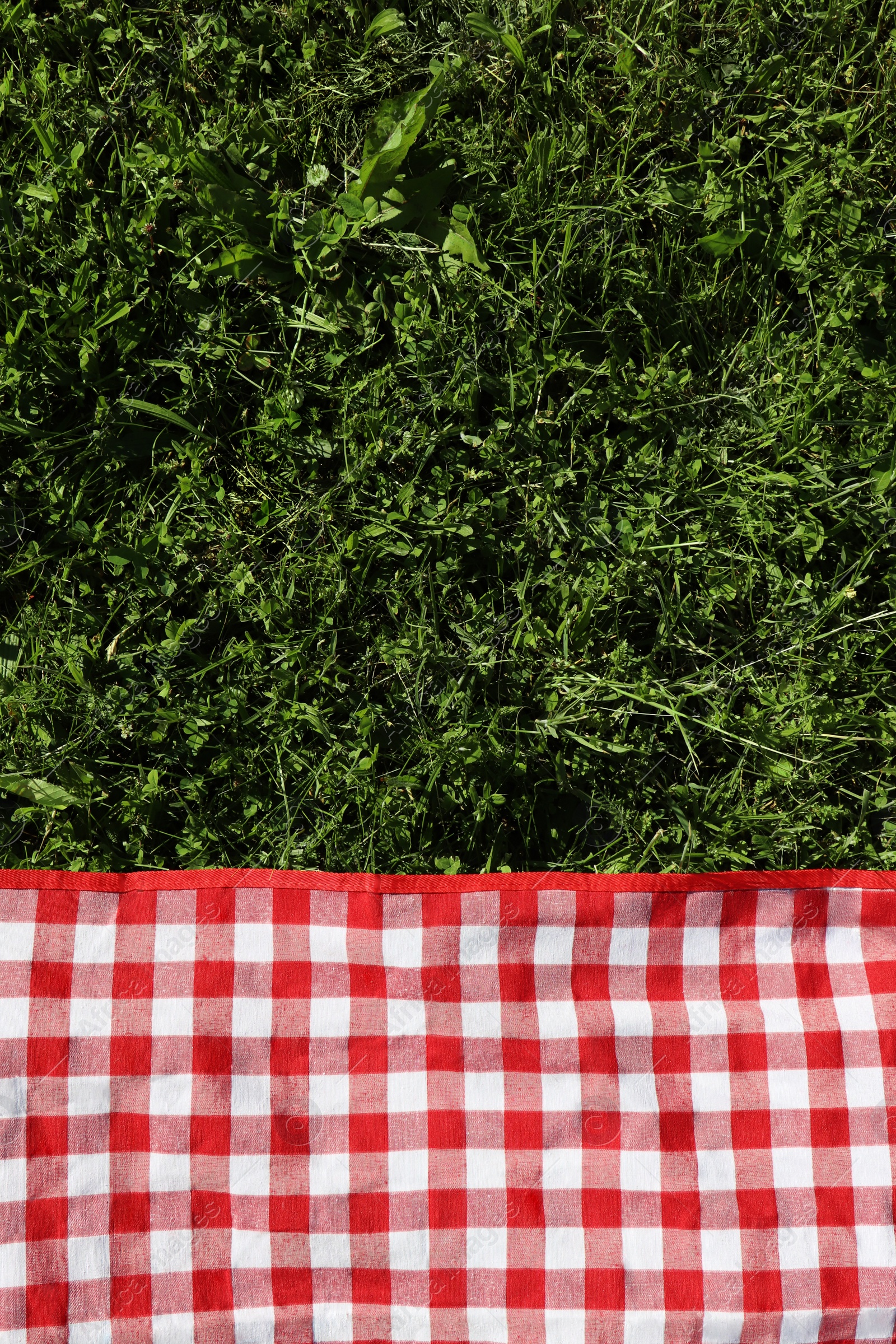 Photo of Checkered picnic tablecloth on fresh green grass, top view. Space for text