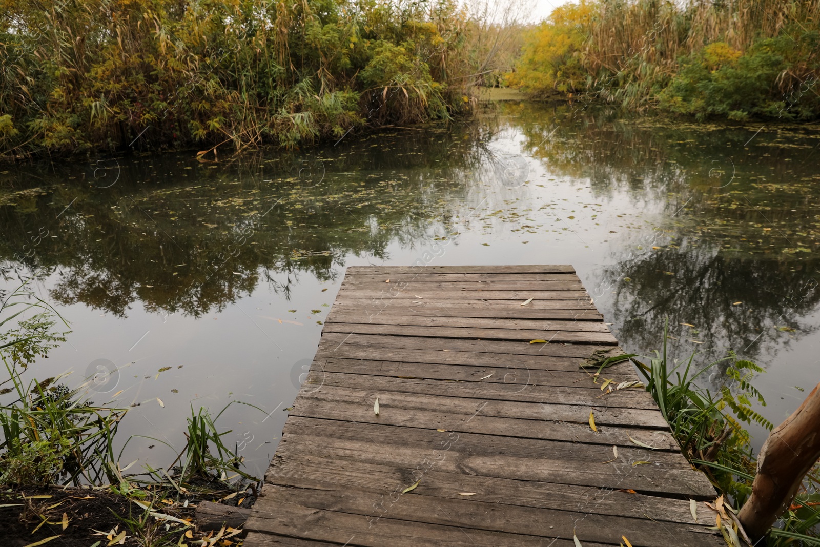 Photo of Beautiful wooden pier and lake on autumn day