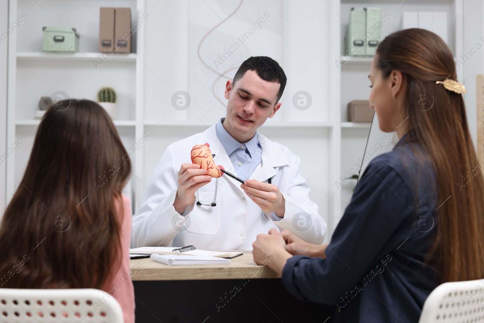 Photo of Gastroenterologist with model of stomach consulting woman and her daughter in clinic