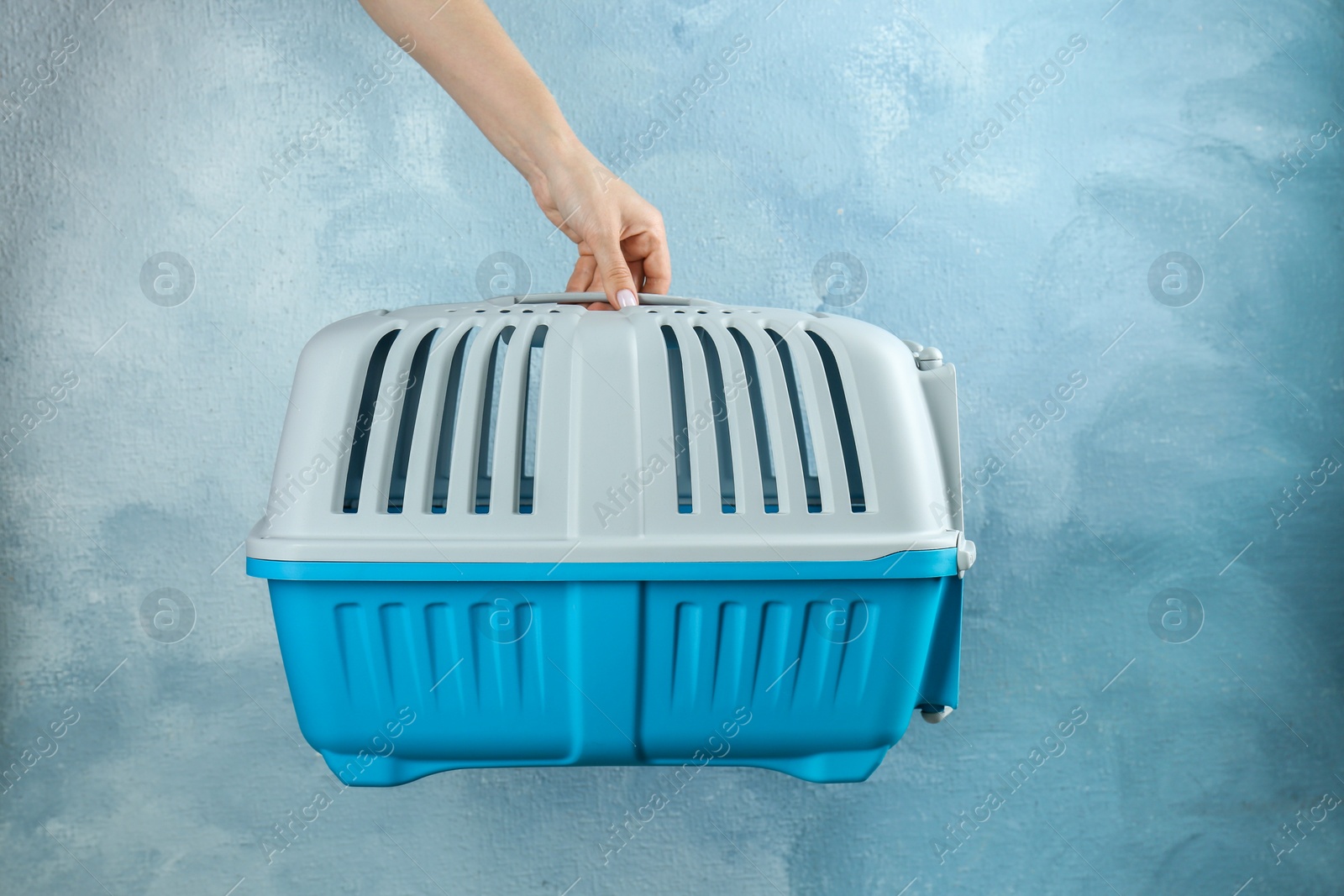 Photo of Woman holding pet carrier against light blue wall, closeup