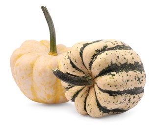 Photo of Two fresh raw pumpkins isolated on white