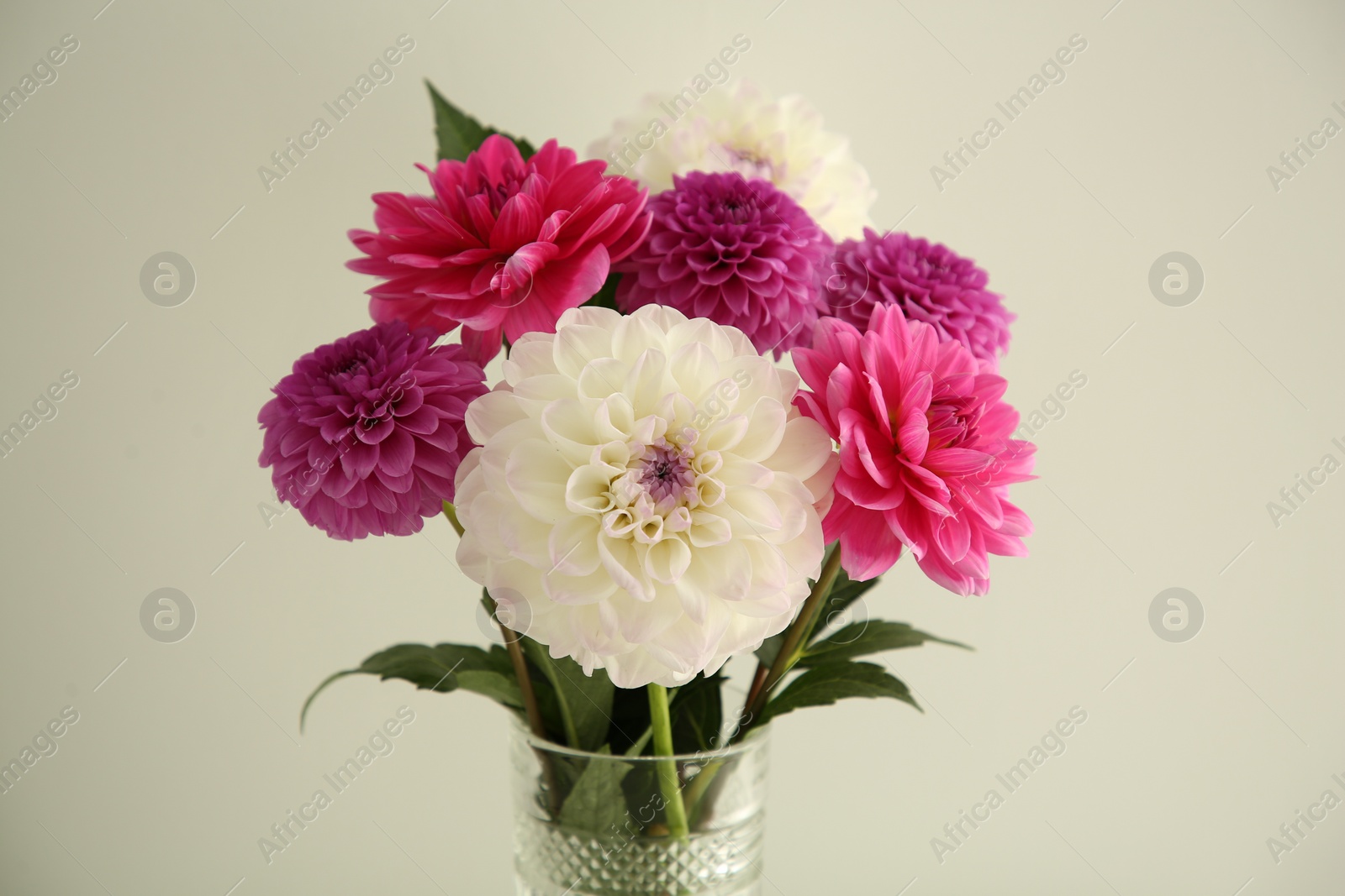 Photo of Bouquet of beautiful Dahlia flowers near white wall, closeup