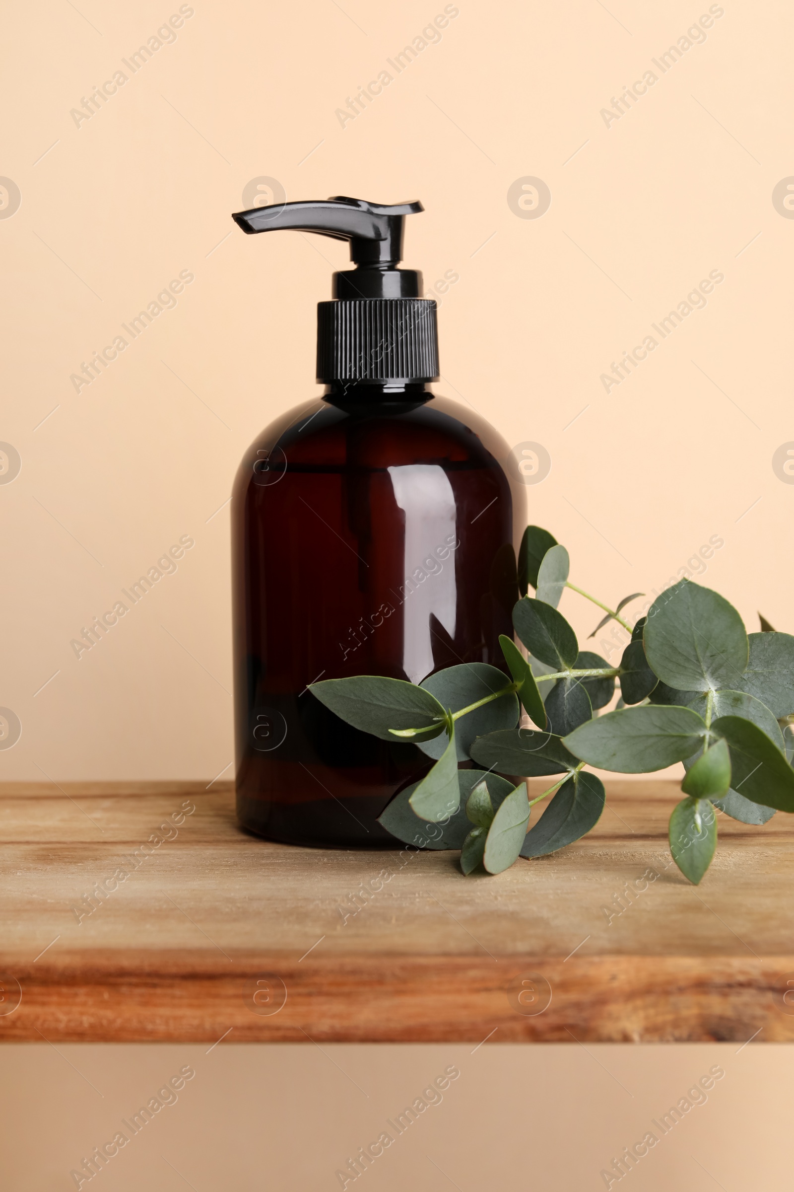 Photo of Bottle of shampoo and tree branch on wooden table near beige wall