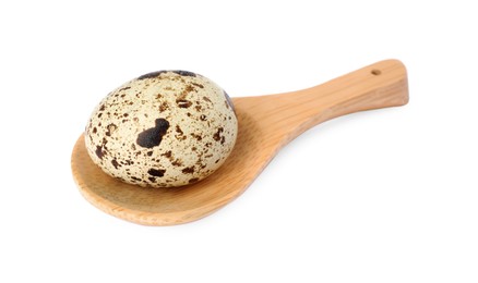 Photo of Wooden spoon with quail egg isolated on white