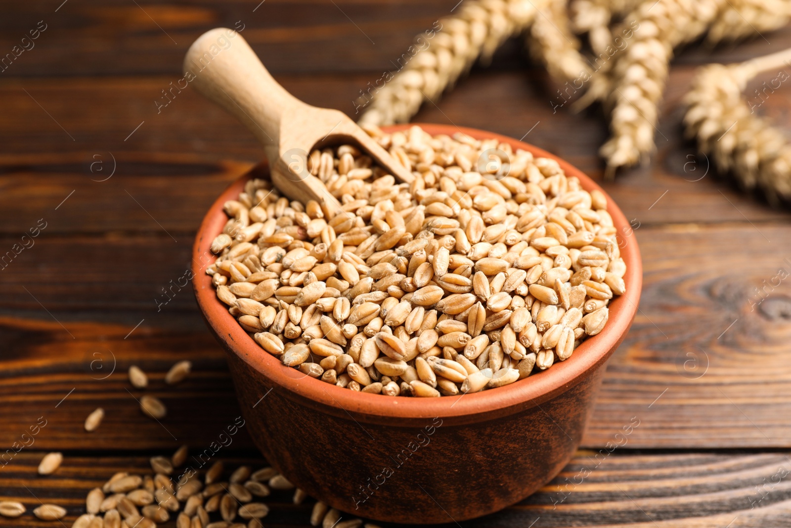 Photo of Bowl of wheat grains on wooden table, closeup