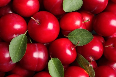 Photo of Fresh ripe cherry plums as background, closeup