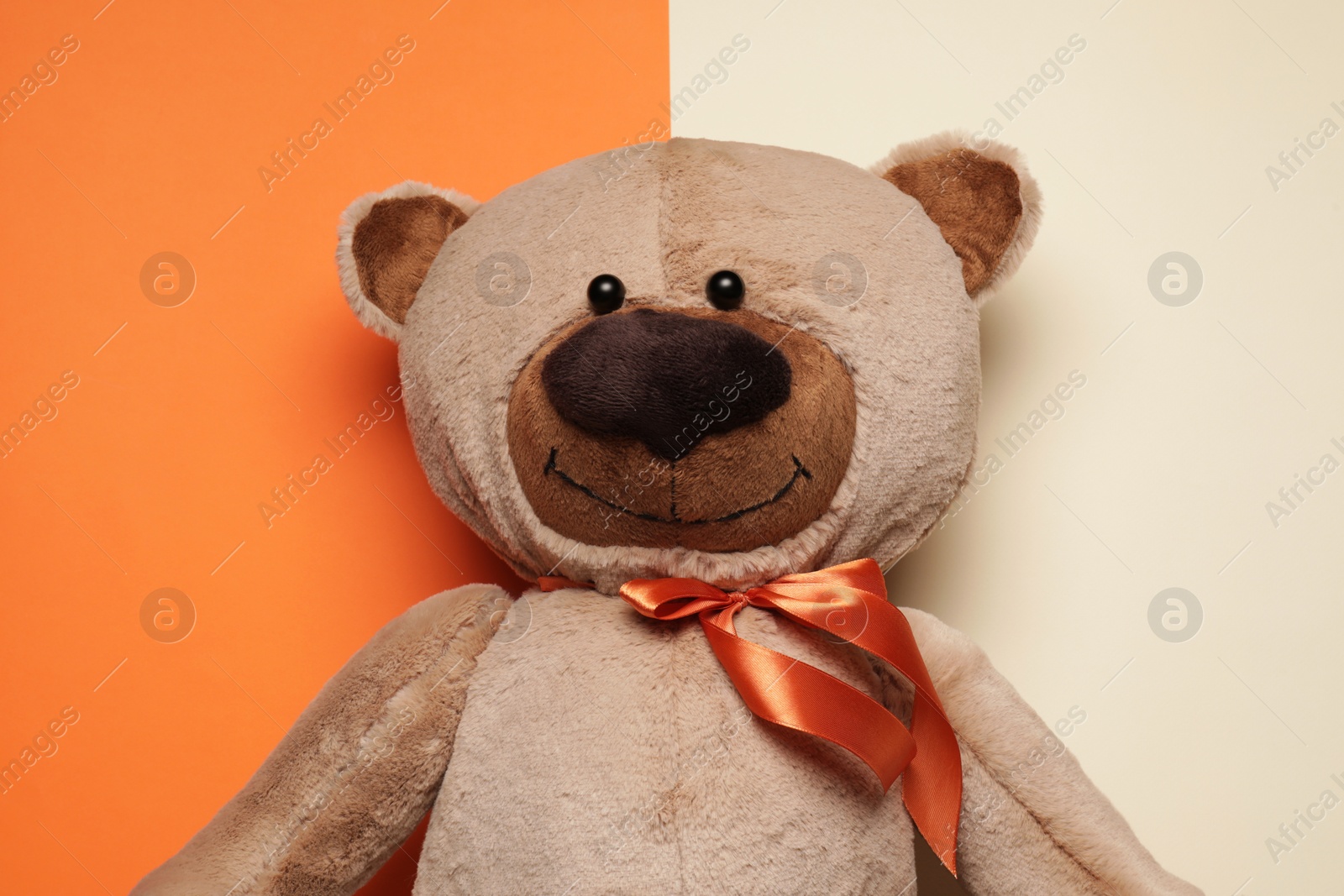 Photo of Cute teddy bear on color background, top view