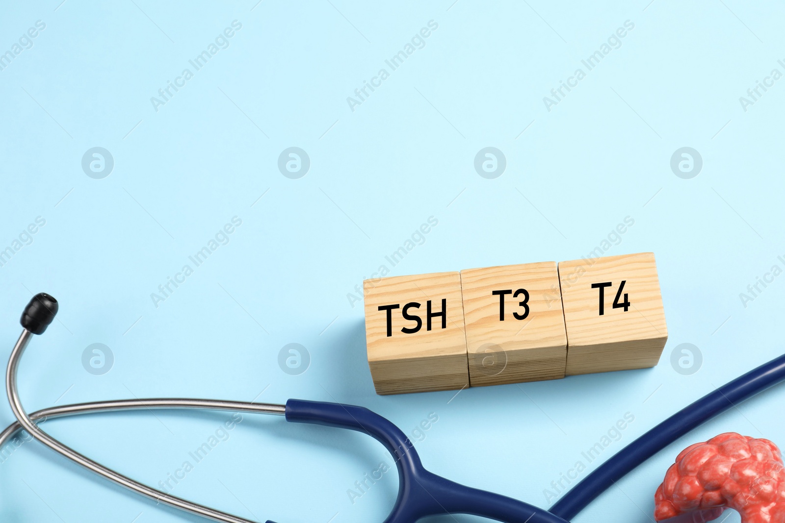 Photo of Endocrinology. Stethoscope, wooden cubes with thyroid hormones and model of gland on light blue background. Space for text