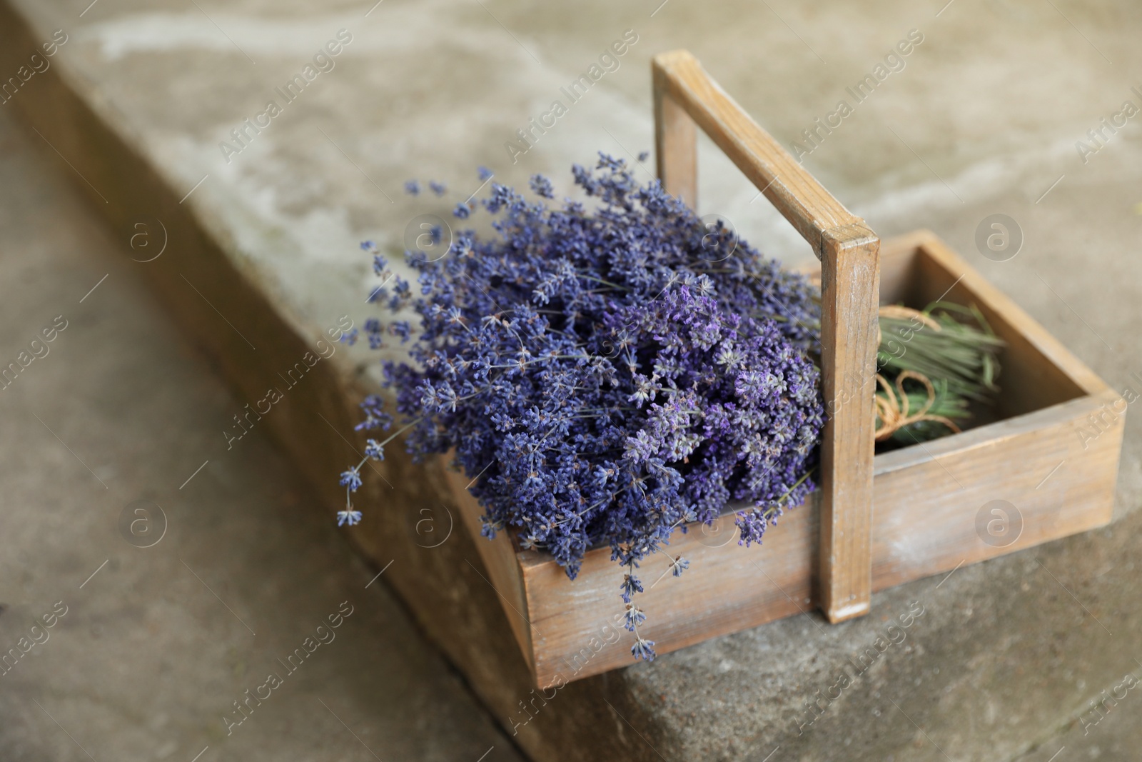 Photo of Wooden basket with lavender flowers on cement floor outdoors