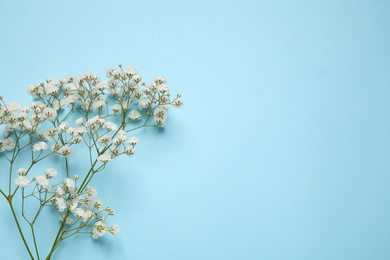 Photo of Beautiful gypsophila on light blue background, top view with space for text. Floral decor
