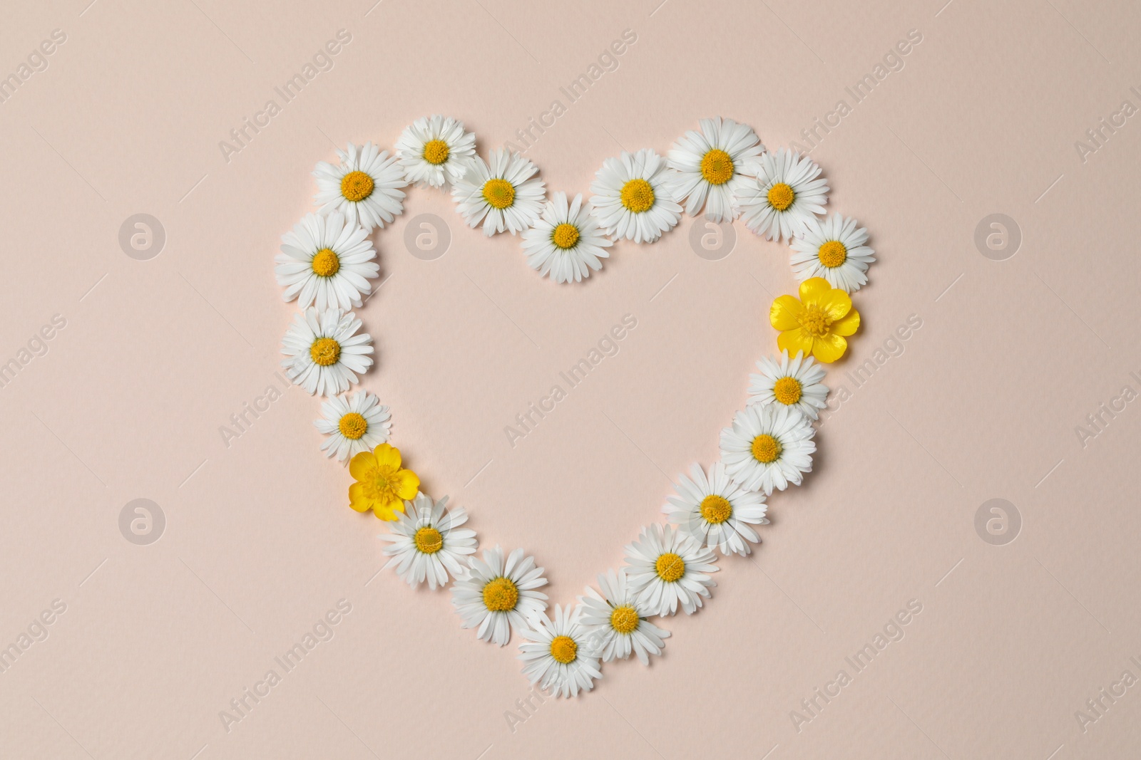Photo of Heart shaped frame of daisy flowers on beige background, flat lay. Space for text
