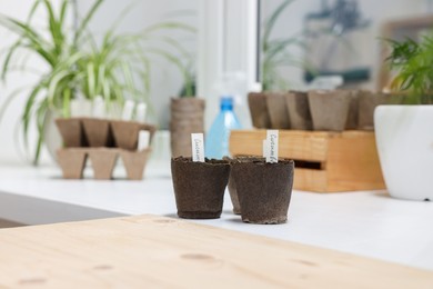 Photo of Peat pots with cards of vegetable names on window sill indoors. Growing seeds